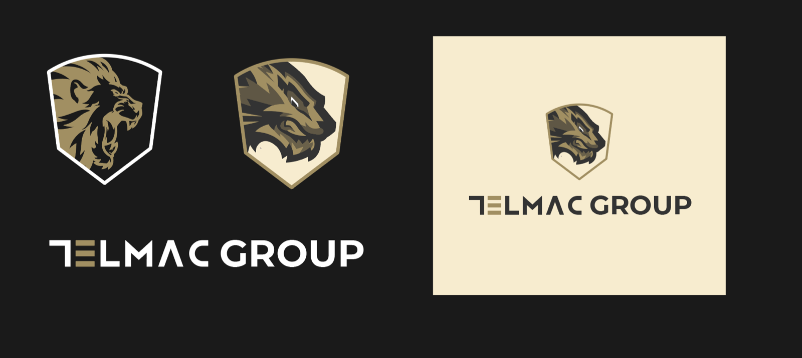 Lion crest shields exploration