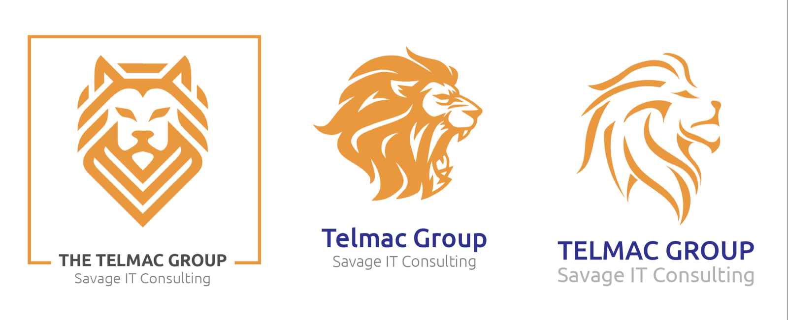 Early logo exploration, lion crest and mascot directions