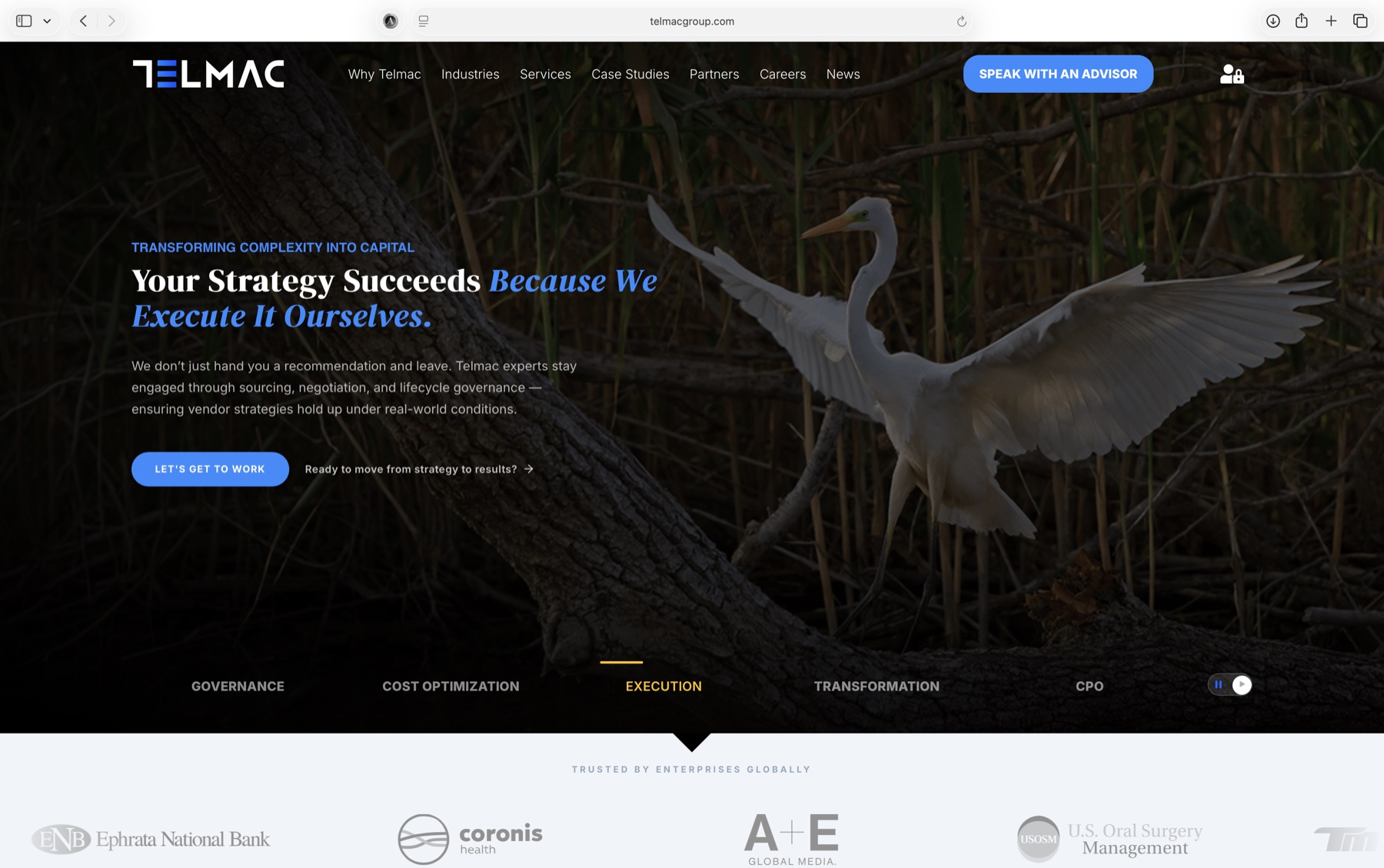 Telmac website, homepage