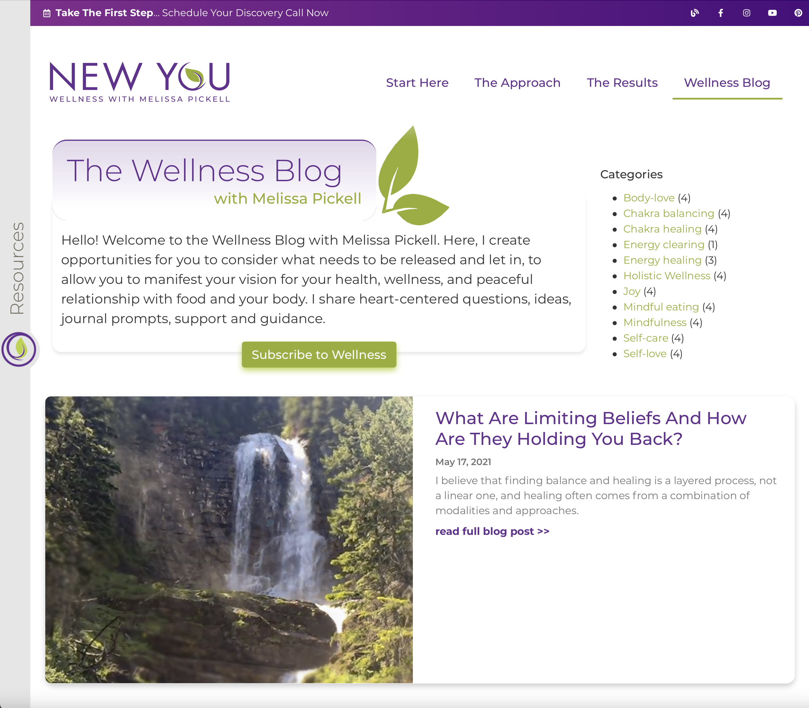 Wellness Rebrand, Melissa Pickell, supporting work